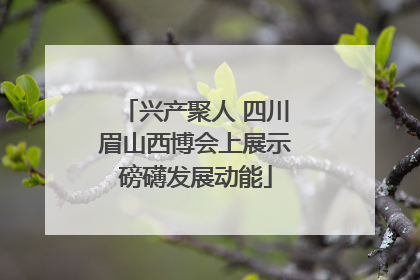兴产聚人 四川眉山西博会上展示磅礴发展动能