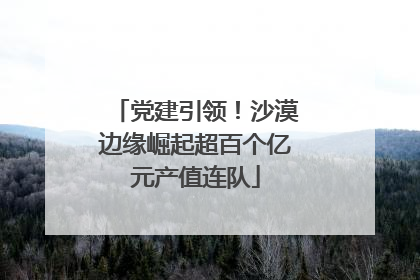党建引领！沙漠边缘崛起超百个亿元产值连队