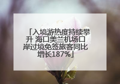入境游热度持续攀升 海口美兰机场口岸过境免签旅客同比增长187%