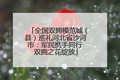 全国双拥模范城（县）巡礼河北省沙河市：军民携手同行 双拥之花绽放
