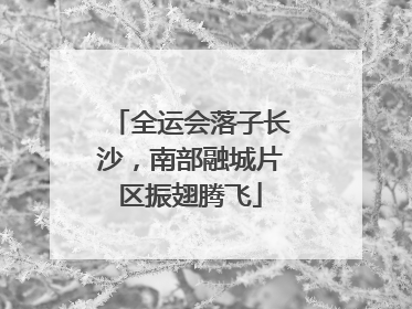 全运会落子长沙，南部融城片区振翅腾飞