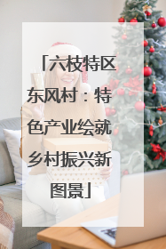六枝特区东风村：特色产业绘就乡村振兴新图景