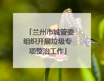 兰州市城管委组织开展垃圾专项整治工作