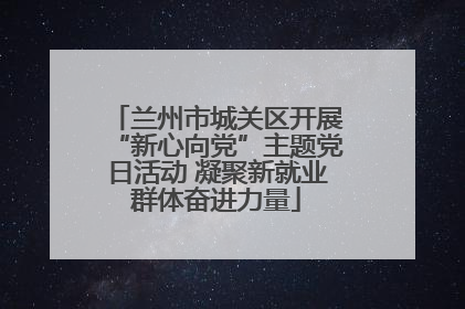 兰州市城关区开展“新心向党”主题党日活动 凝聚新就业群体奋进力量