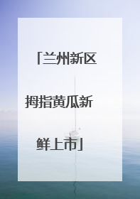 兰州新区拇指黄瓜新鲜上市