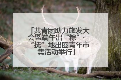 共青团助力旅发大会暨端午出“粽”·“抚”地出圈青年市集活动举行