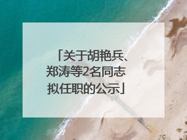 关于胡艳兵、郑涛等2名同志拟任职的公示