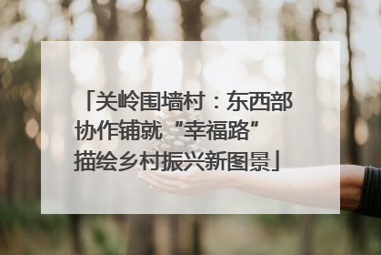 关岭围墙村：东西部协作铺就“幸福路” 描绘乡村振兴新图景