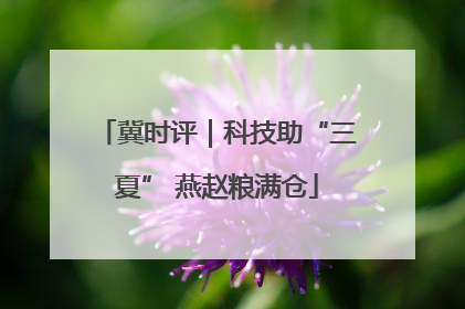 冀时评｜科技助“三夏” 燕赵粮满仓