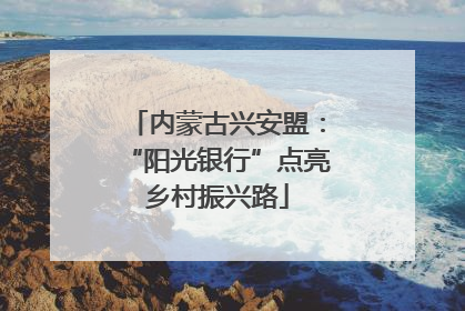 内蒙古兴安盟：“阳光银行”点亮乡村振兴路