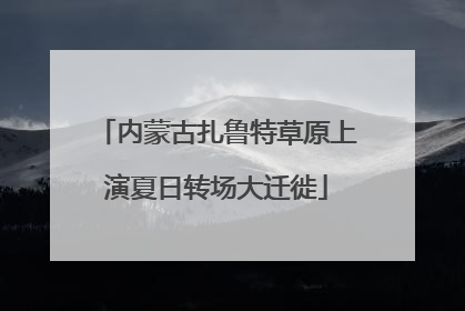 内蒙古扎鲁特草原上演夏日转场大迁徙