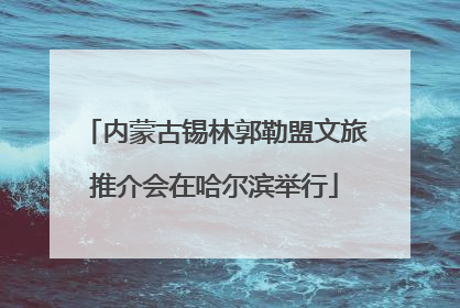内蒙古锡林郭勒盟文旅推介会在哈尔滨举行