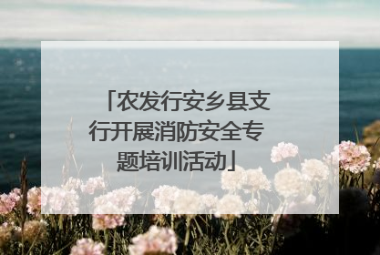 农发行安乡县支行开展消防安全专题培训活动
