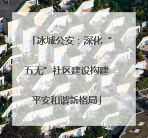 冰城公安：深化“五无”社区建设构建平安和谐新格局