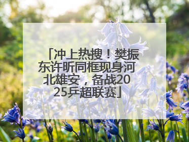 冲上热搜！樊振东许昕同框现身河北雄安，备战2025乒超联赛