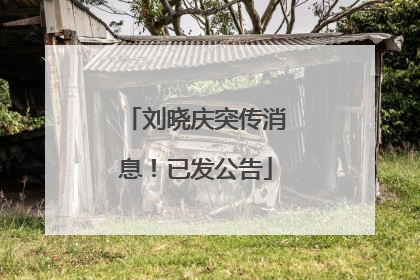 刘晓庆突传消息！已发公告