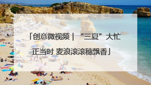 创意微视频｜“三夏”大忙正当时 麦浪滚滚穗飘香