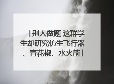 别人做题 这群学生却研究仿生飞行器、青花椒、水火箭
