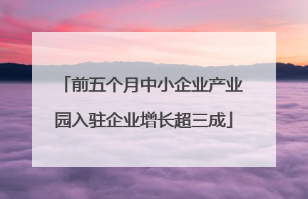 前五个月中小企业产业园入驻企业增长超三成