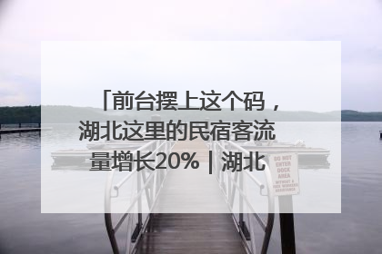 前台摆上这个码，湖北这里的民宿客流量增长20%｜湖北市场监管所的故事