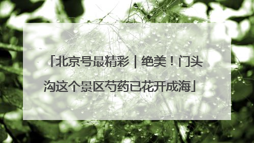 北京号最精彩｜绝美！门头沟这个景区芍药已花开成海