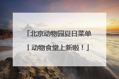 北京动物园夏日菜单丨动物食堂上新啦！