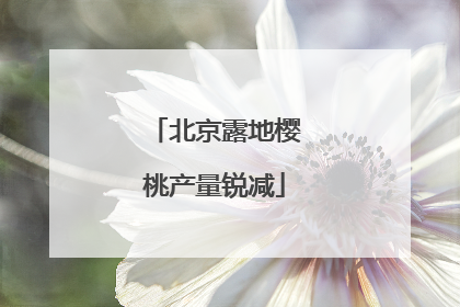 北京露地樱桃产量锐减