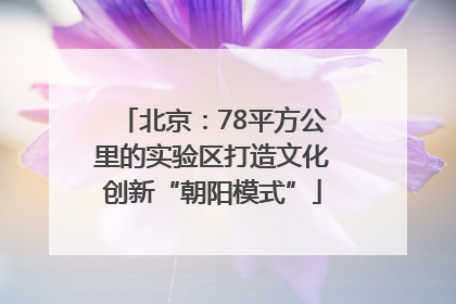 北京：78平方公里的实验区打造文化创新“朝阳模式”