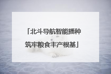 北斗导航智能播种 筑牢粮食丰产根基