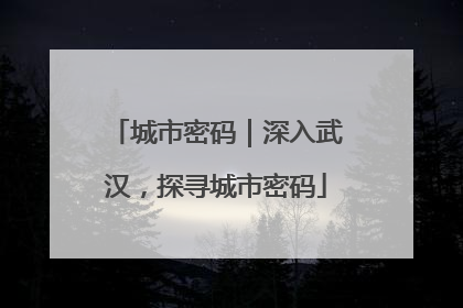 城市密码｜深入武汉，探寻城市密码