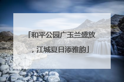 和平公园广玉兰盛放，江城夏日添雅韵