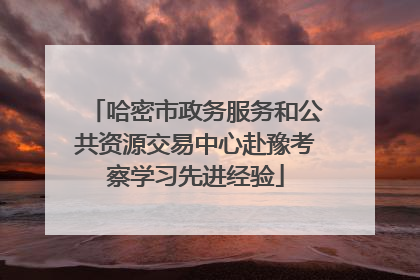 哈密市政务服务和公共资源交易中心赴豫考察学习先进经验