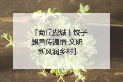 商丘虞城丨饺子飘香传温情 文明新风润乡村