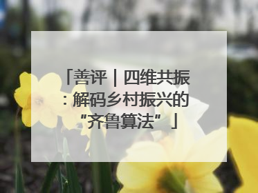 善评｜四维共振：解码乡村振兴的“齐鲁算法”