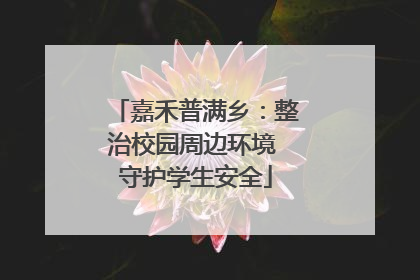 嘉禾普满乡：整治校园周边环境 守护学生安全