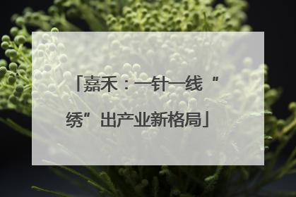 嘉禾：一针一线“绣”出产业新格局