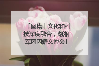 图集丨文化和科技深度融合，湖湘军团闪耀文博会