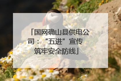 国网确山县供电公司：“五进”宣传 筑牢安全防线