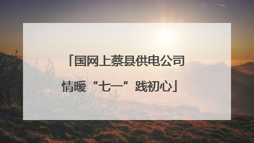 国网上蔡县供电公司情暖“七一”践初心
