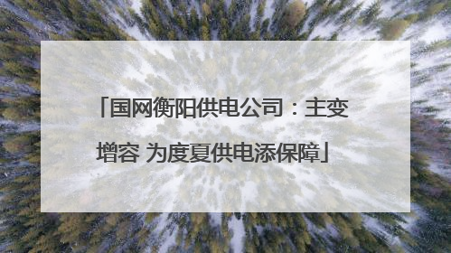 国网衡阳供电公司：主变增容 为度夏供电添保障