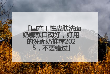国产干性皮肤洗面奶哪款口碑好，好用的洗面奶推荐2025，不要错过