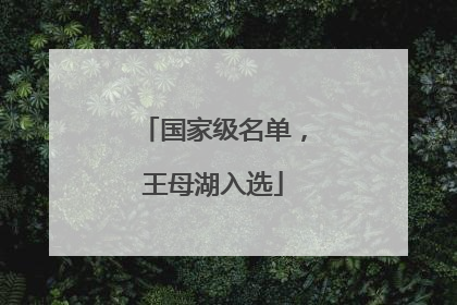 国家级名单，王母湖入选