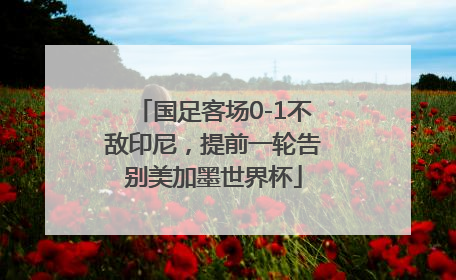 国足客场0-1不敌印尼，提前一轮告别美加墨世界杯