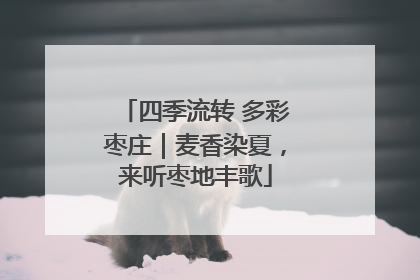 四季流转 多彩枣庄｜麦香染夏，来听枣地丰歌
