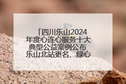 四川乐山2024年度心连心服务十大典型公益案例公布 乐山北站更名、绿心路井盖治理等上榜
