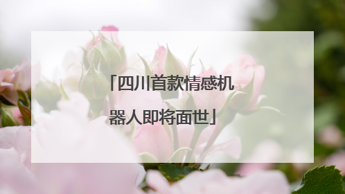 四川首款情感机器人即将面世