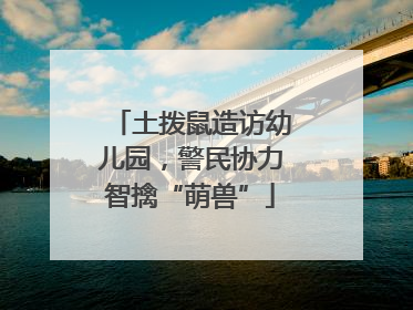 土拨鼠造访幼儿园，警民协力智擒“萌兽”