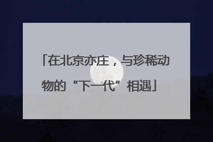 在北京亦庄，与珍稀动物的“下一代”相遇