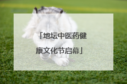 地坛中医药健康文化节启幕