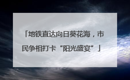 地铁直达向日葵花海，市民争相打卡“阳光盛宴”
